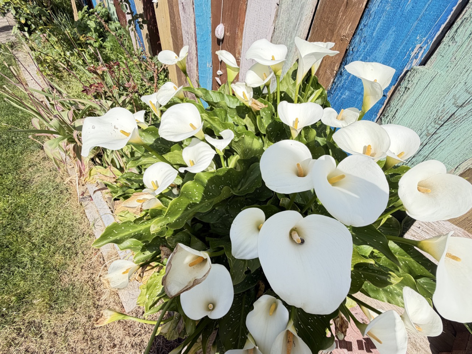 Image_, Maison, Les Sables-d'Olonne, ref :2200